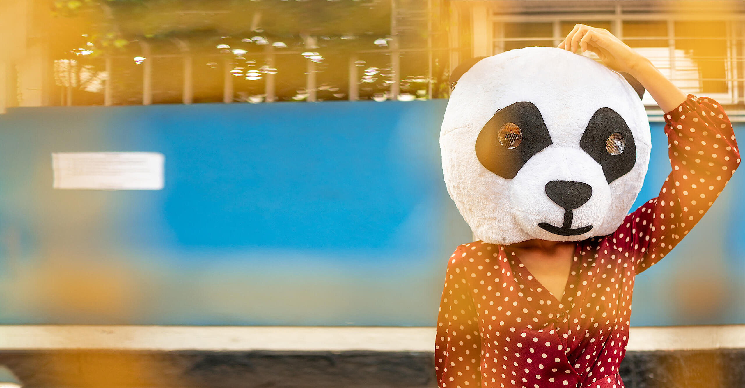 Symbolbild: Verwunderte Person mit Pandamaske